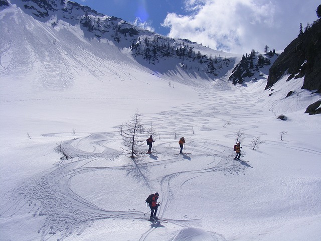 alpské lyžování