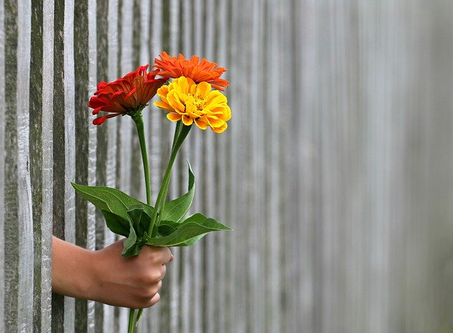 Človek má prestrčenú ruku cez plot a drží kyticu kvetov.jpg